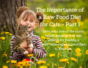 Raw Food Diet for Cats - Part 1