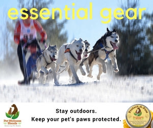 Protect your pets paws - Winter & Summer