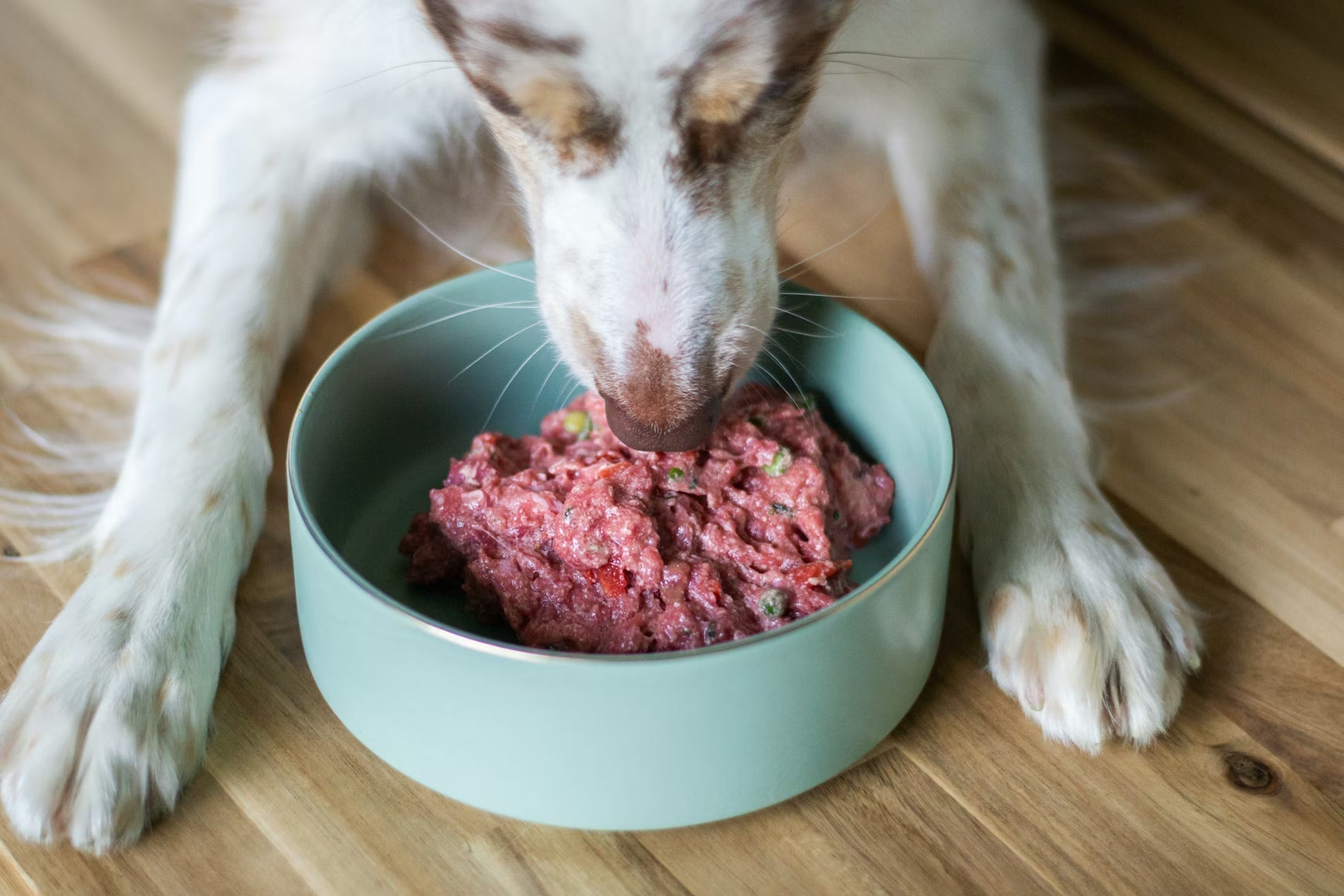 Why Raw Meat May Be the Best Thing You Ever Do for Your Dog