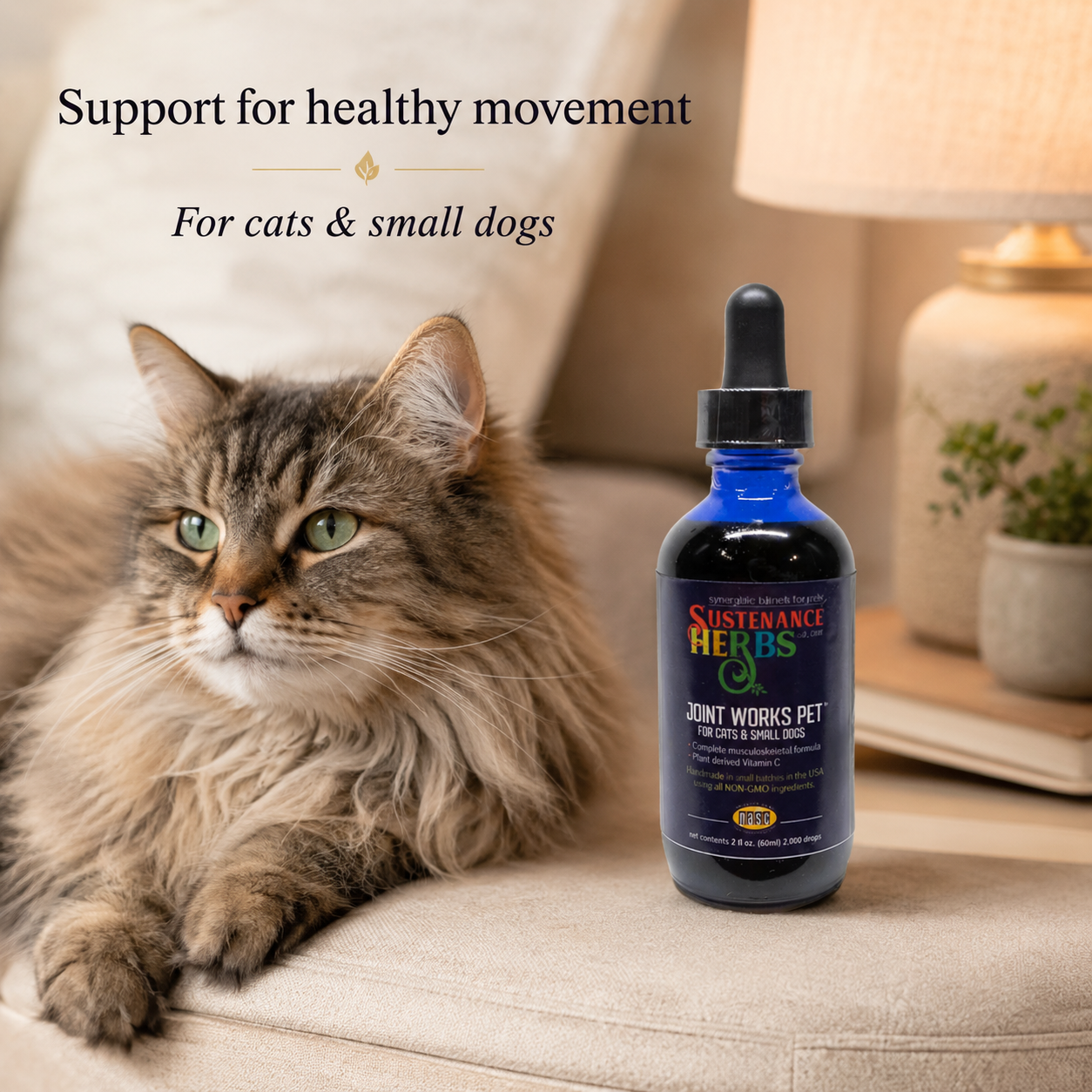 Joint Works Pet™ – Natural Joint Support for Cats & Small Dogs