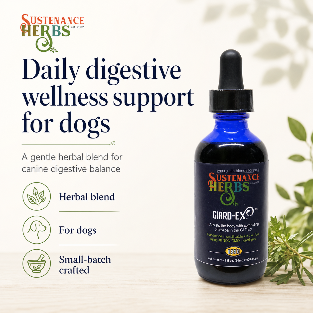 Giard-Ex™ – Herbal Digestive Support for Dogs