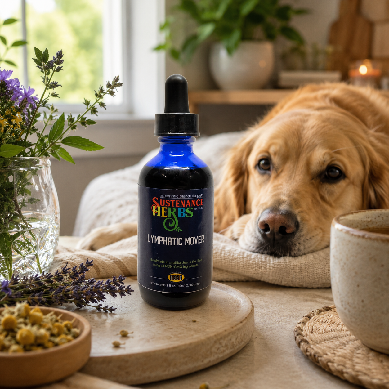 Lymphatic Mover™ – Dog Lymphatic Support – Sustenance Herbs