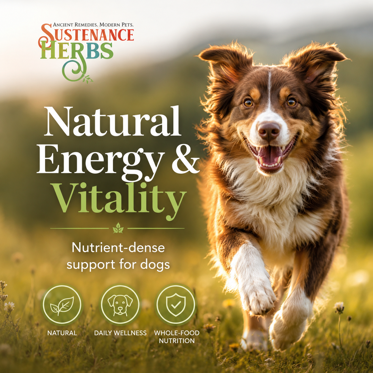 Organic Bee Pollen – Nutrient-Rich Superfood for Pets