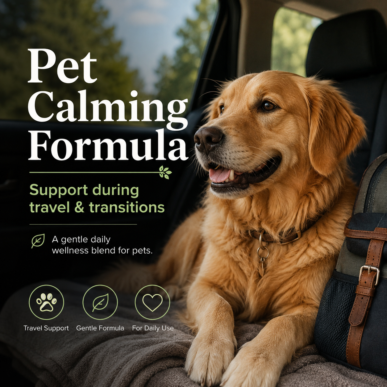 Pet Calming Formula – Natural Anxiety & Stress Relief for Dogs & Cats