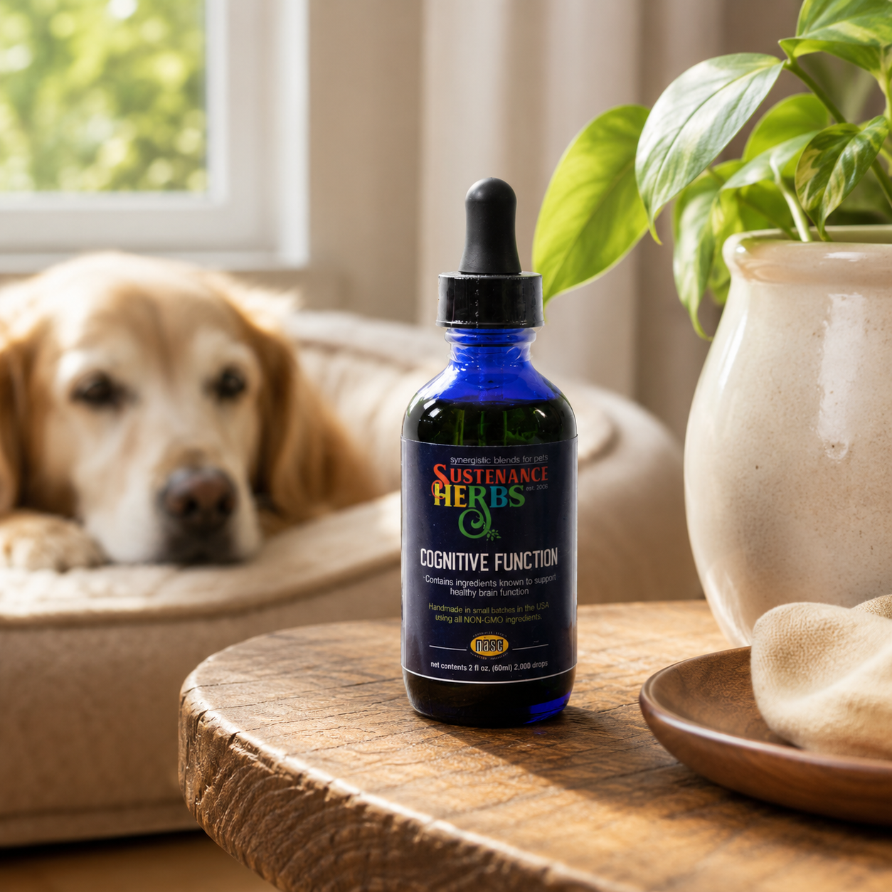 Cognitive Function™ with Astaxanthin | Brain Support for Pets