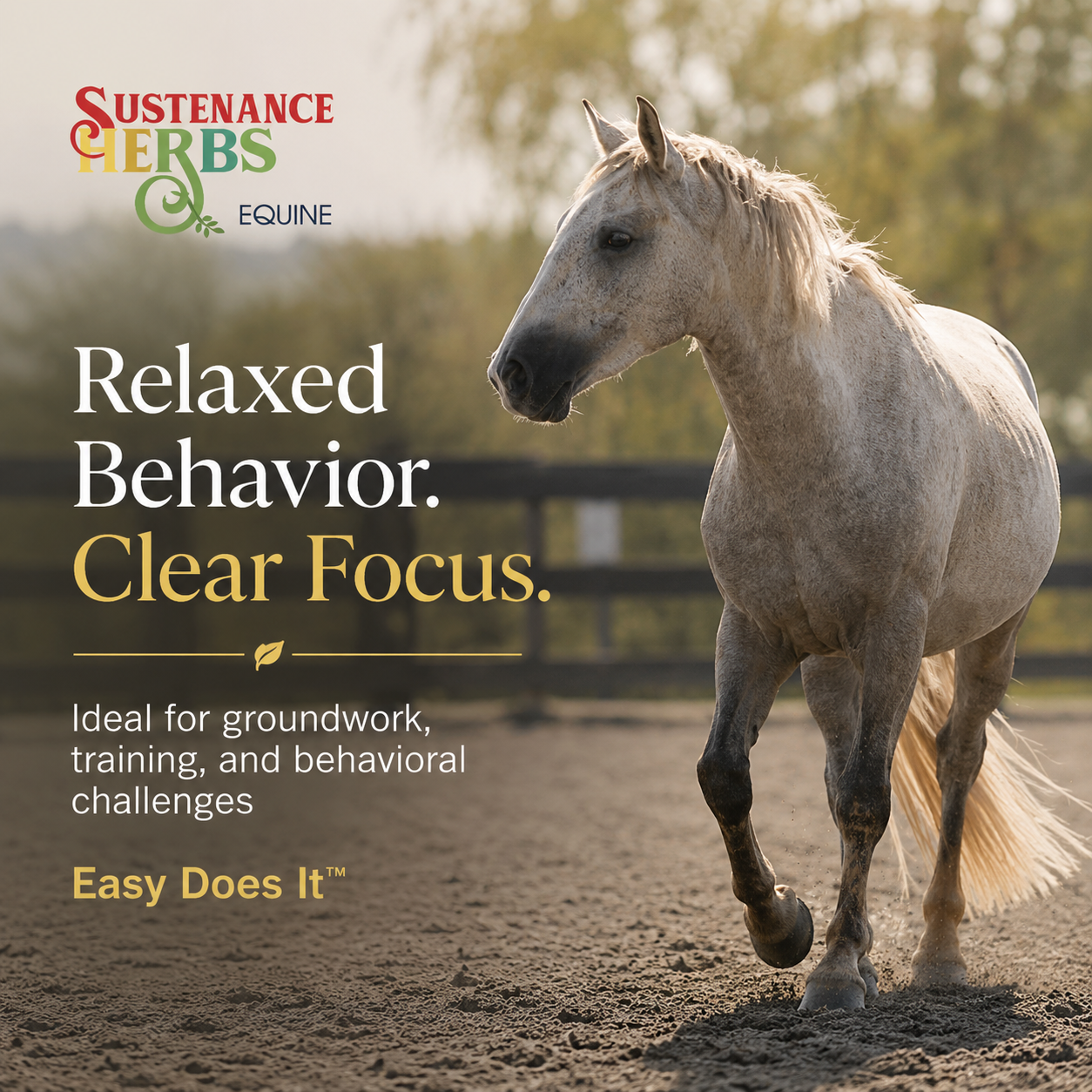 Easy Does It™ | Organic Calming Support for Horses