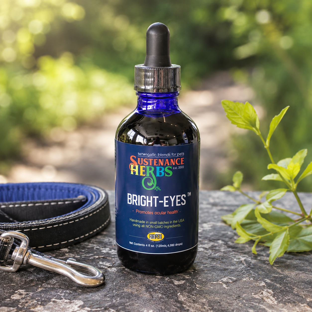 Bright Eyes™ with Astaxanthin – Natural Eye Support for Dogs