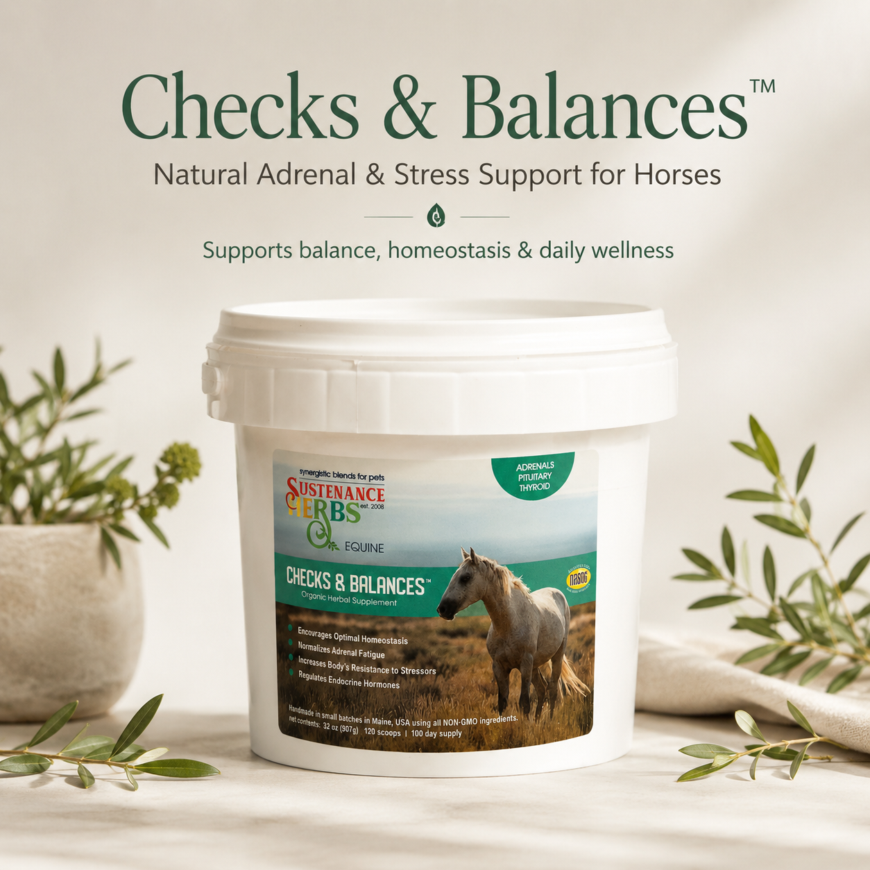 Checks & Balances™ – Natural Adrenal & Stress Support for Horses