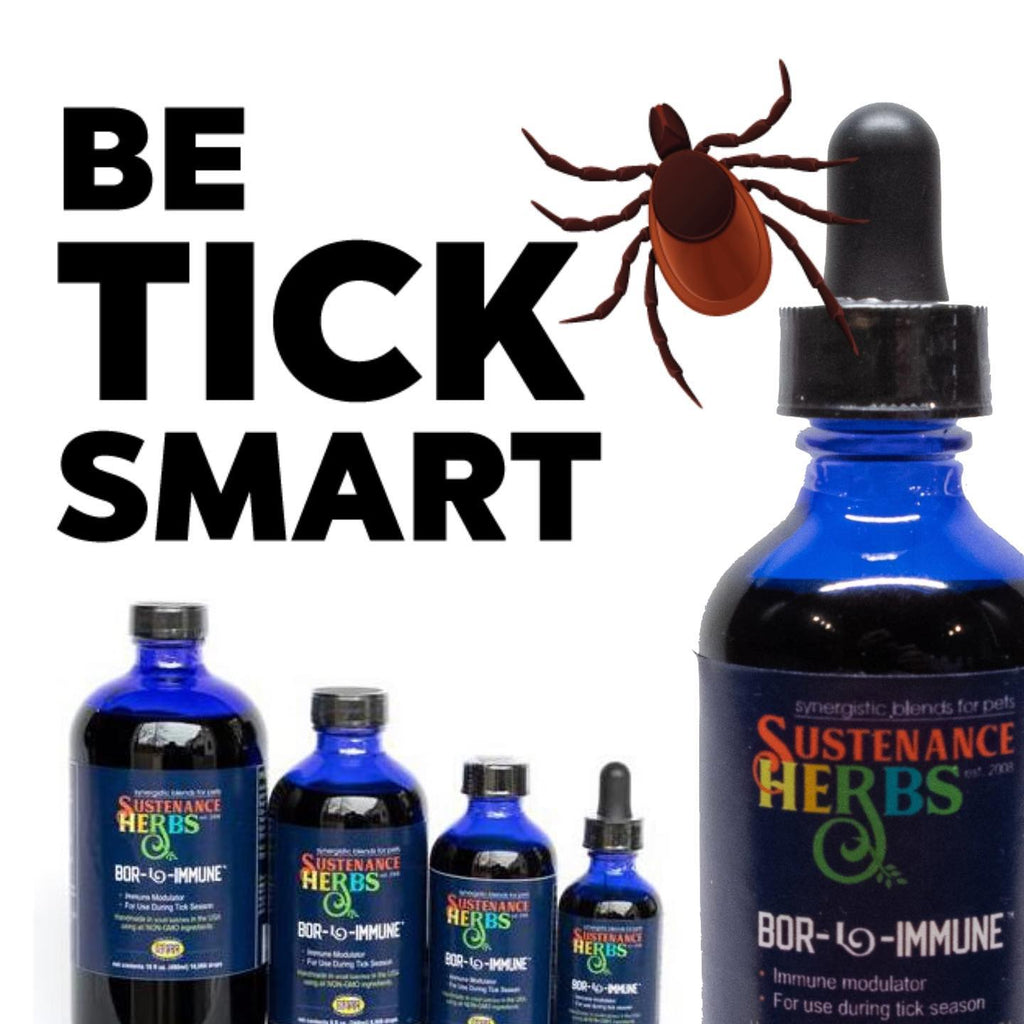 be tick smart graphic