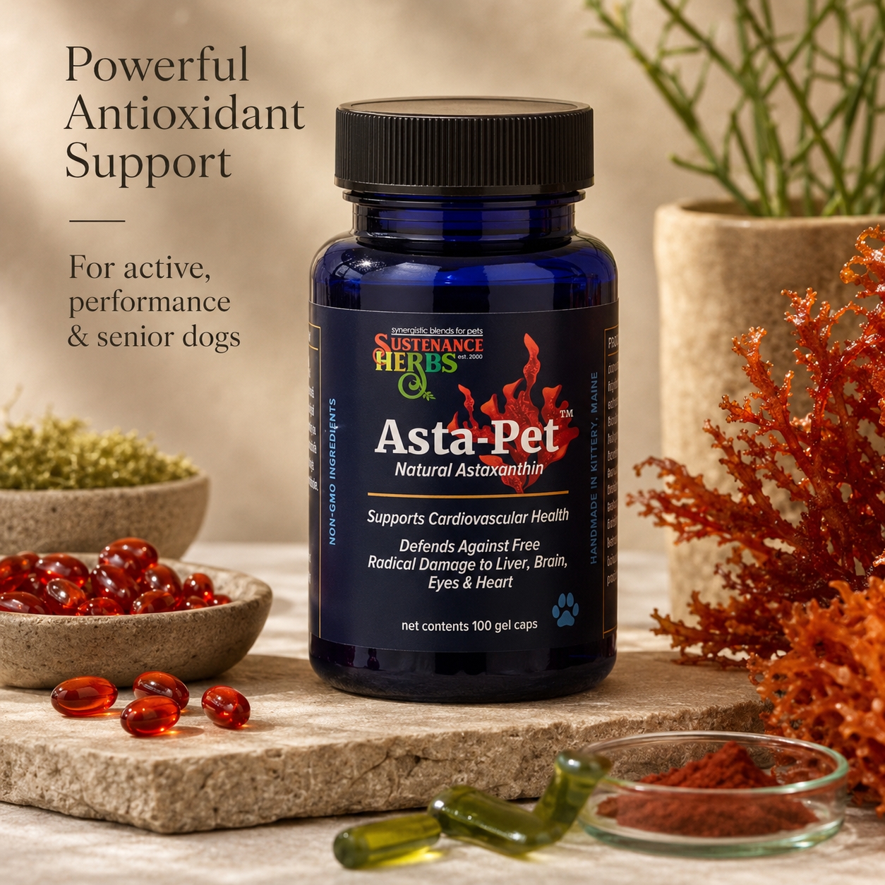 Asta-Pet™ Natural Astaxanthin for Dogs | Antioxidant Support