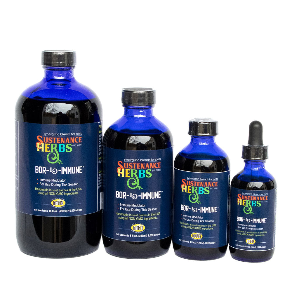 Bor-L-Immune® – Tick Season Immune Support for Dogs & Horses