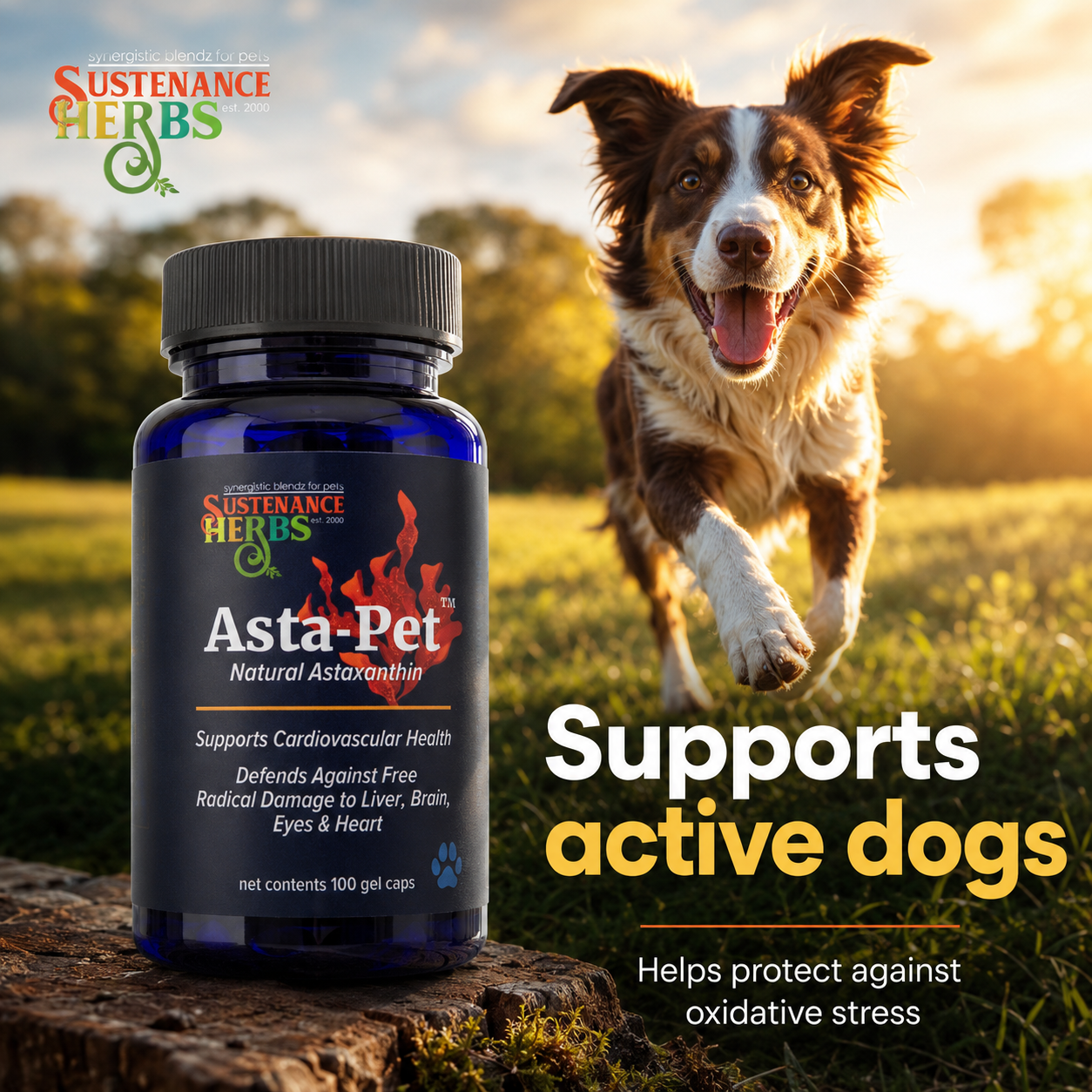 Asta-Pet™ Natural Astaxanthin for Dogs | Antioxidant Support