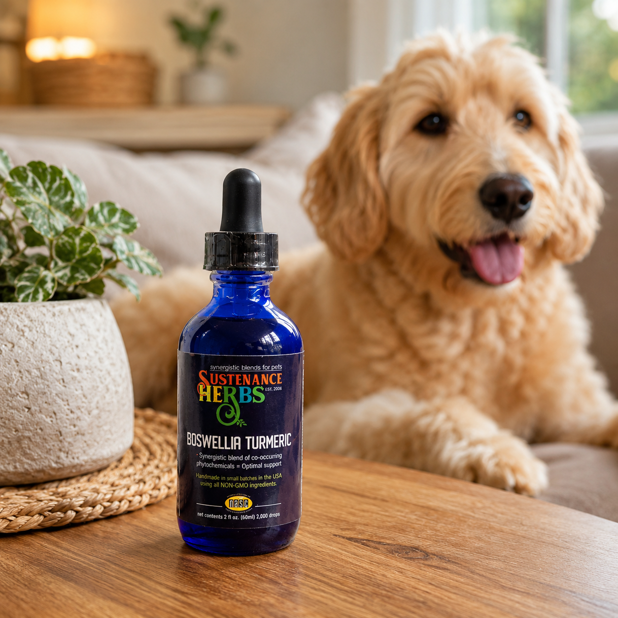 Boswellia-Turmeric – Herbal Support for Dog & Horse Joint & Digestive Wellness