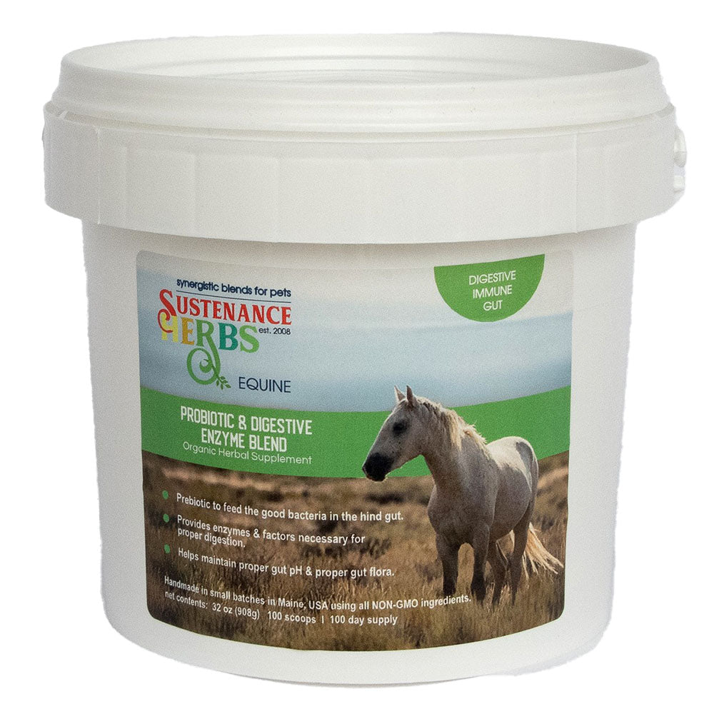 Equine Probiotic & Digestive Enzyme Blend
