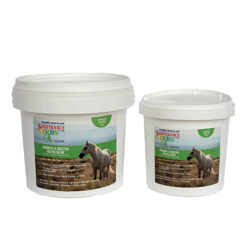 Equine Probiotic & Digestive Enzyme Blend