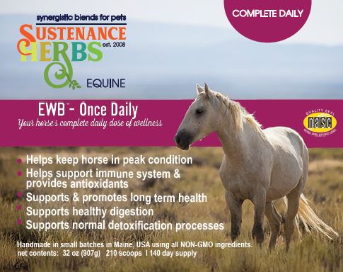 advertisement for ewb-once daily wellness formula for horses by sustenance herbs for pets