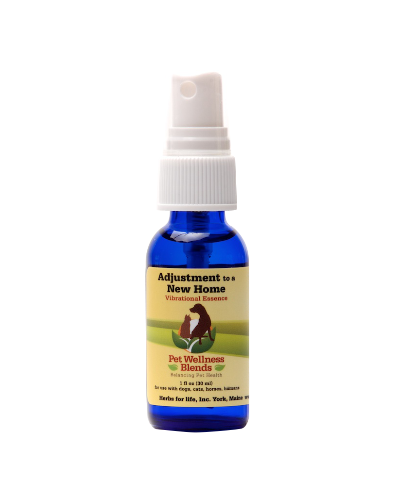 1 oz bottle of sustenance herbs for pets flower essence for anxiety in dogs and cats