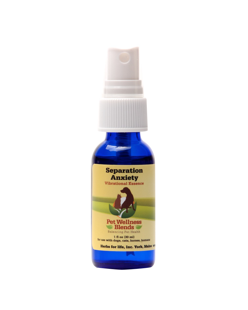 1 oz bottle of sustenance herbs for pets flower essence formula for anxiety in pets