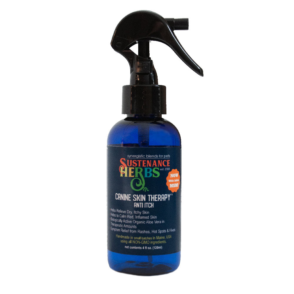 Canine Skin Therapy – Soothing Relief for Dogs’ Itchy Skin